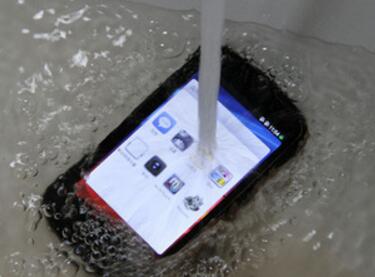 1-1FP3095621M9.jpg 1-1FP3095621M9.jpg